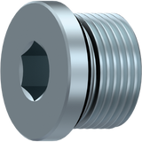 DICSA BLANKING PLUG WITH CAPTIVE SEAL  Ø 75  2" BSP | BEAOB