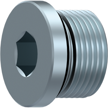 DICSA BLANKING PLUG WITH CAPTIVE SEAL  Ø 75  2" BSP | BEAOB