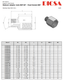 BSP Male to Female Stud Adaptor Reducer, RI