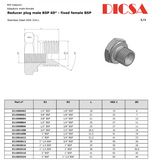 BSP Male to Female Stud Adaptors Reducing Plug RI-P