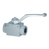 DICSA 2 WAYS FEM BALL VALVE BSP WITH HOLES   1/4" BSP DN 6 | CCDAA