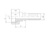 BSP Flat Face Sealing Straight Hose End | TTA Hydraulics