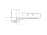 Oring Sealing Female Straight Hose End | TTA Hydraulics