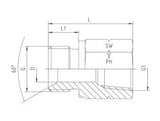 BSP Male to NPT Female Form B Fixed Adaptor, MB-FN-STR-FIX-FRMB