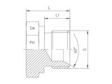 BSP Male Plugs Adaptor, PB-BSP