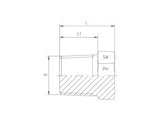 BSP Taper Male Plug Adaptor, PBT-BSP