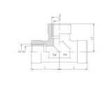 BSP Fixed Female Tee Piece Adaptor, FB-FB-FB